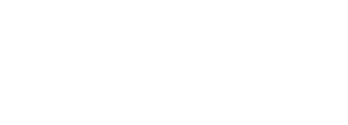 Macro Fish