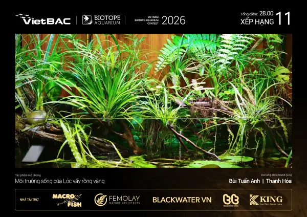 Nature tank 5